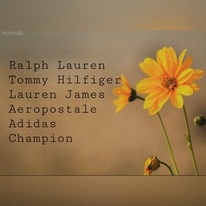 Ralph Lauren, Tommy Hilfiger, Lauren James, Aeropostale, Adidas, Champion